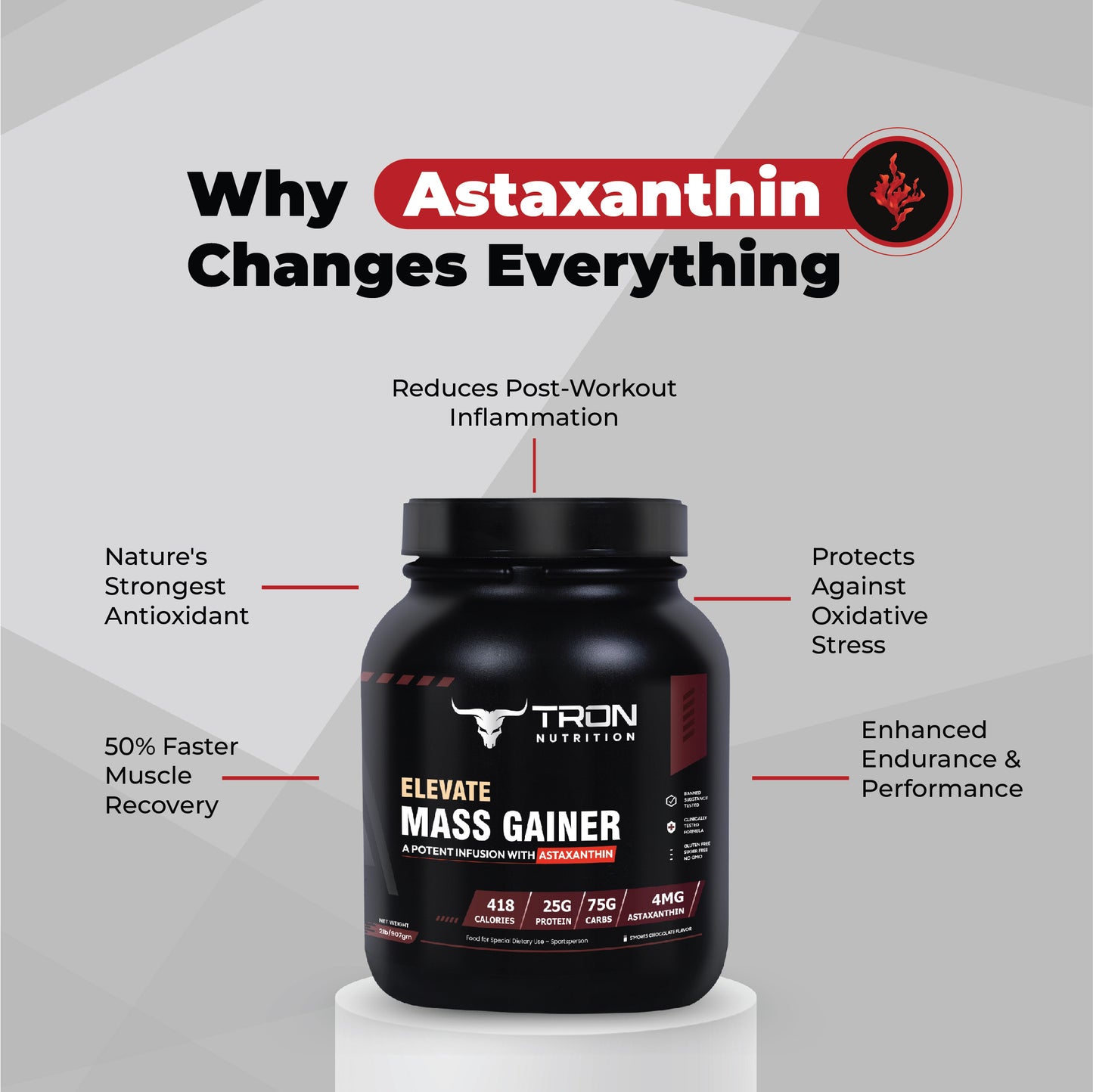 Tron Elevate Mass Gainer